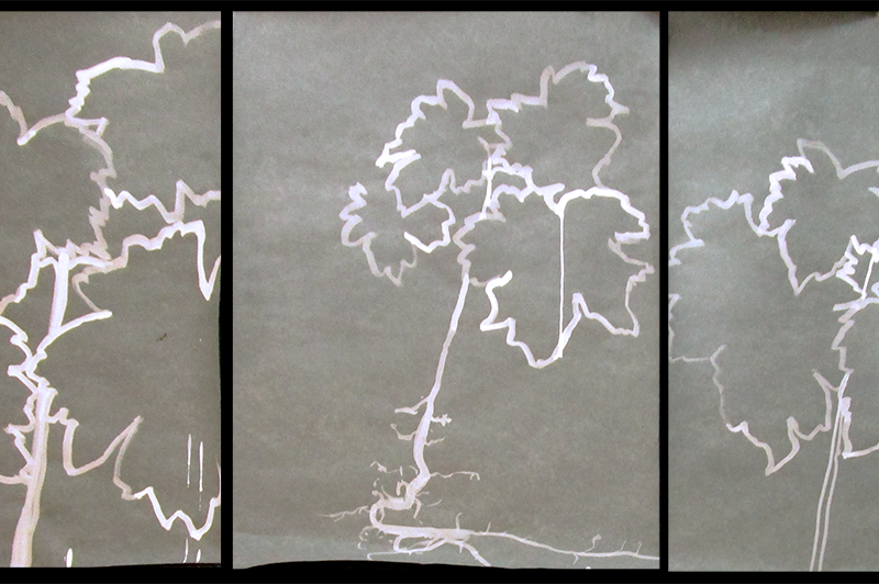 Leaves, Inkt op Paper, 2016, 3 x 50×63 cm